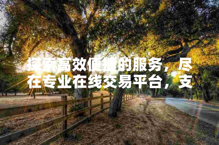 探索高效便捷的服务，尽在专业在线交易平台，支持安全快速的微信支付方式。