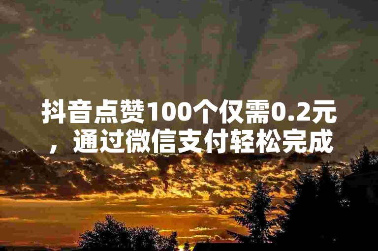 抖音点赞100个仅需0.2元，通过微信支付轻松完成，想知道你的抖音抖币充值记录？快来我们的24小时自动下单平台查询吧！