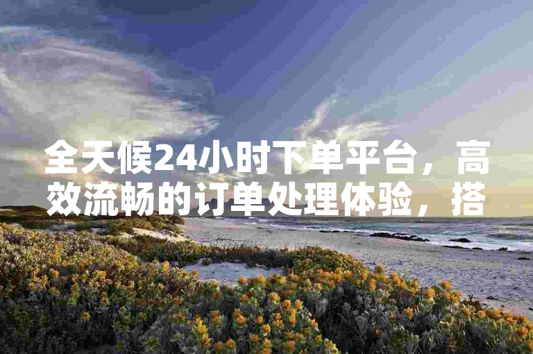 全天候24小时下单平台，高效流畅的订单处理体验，搭配难以抗拒的价格优惠！