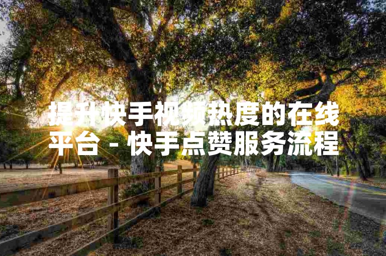 提升快手视频热度的在线平台 - 快手点赞服务流程