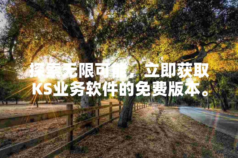 探索无限可能，立即获取KS业务软件的免费版本。