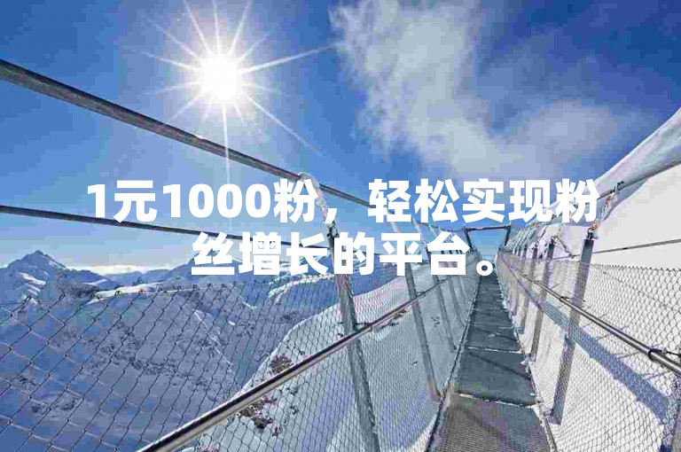 1元1000粉，轻松实现粉丝增长的平台。
