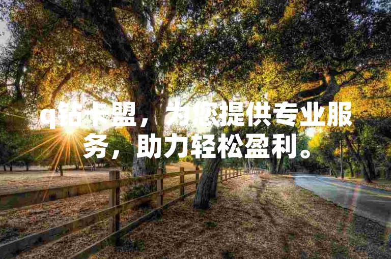 q钻卡盟，为您提供专业服务，助力轻松盈利。