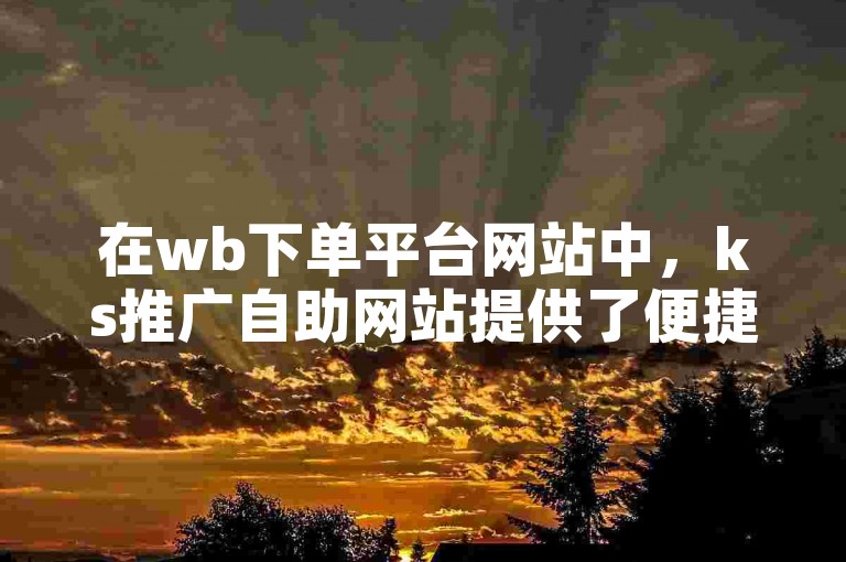 在wb下单平台网站中，ks推广自助网站提供了便捷的服务。