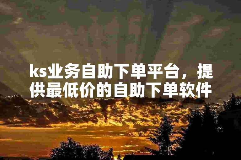 ks业务自助下单平台，提供最低价的自助下单软件服务。