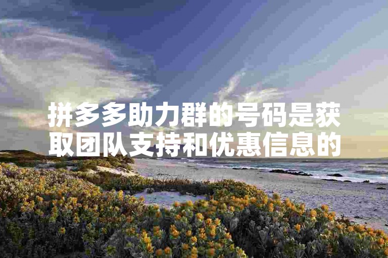 拼多多助力群的号码是获取团队支持和优惠信息的关键。