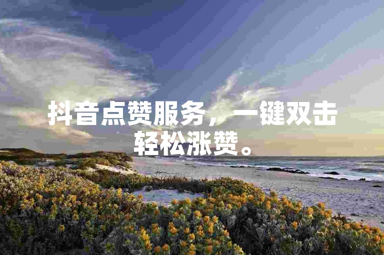 抖音点赞服务，一键双击轻松涨赞。