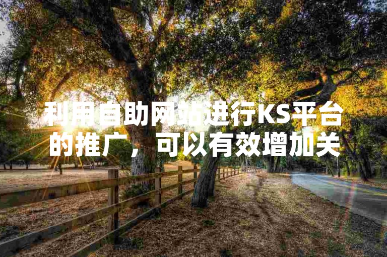 利用自助网站进行KS平台的推广，可以有效增加关注度。