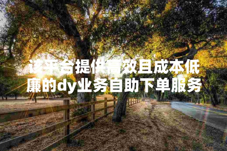 该平台提供高效且成本低廉的dy业务自助下单服务，确保用户能够稳定地获取所需的会员服务。