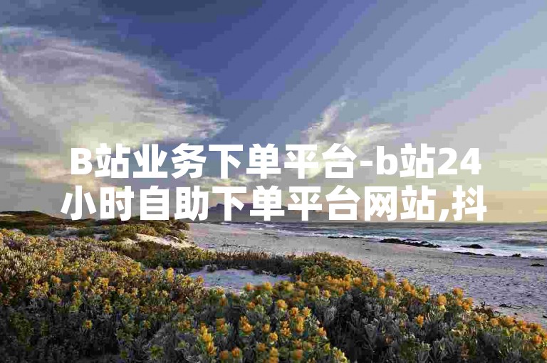 B站业务下单平台-b站24小时自助下单平台网站,抖涨客软件