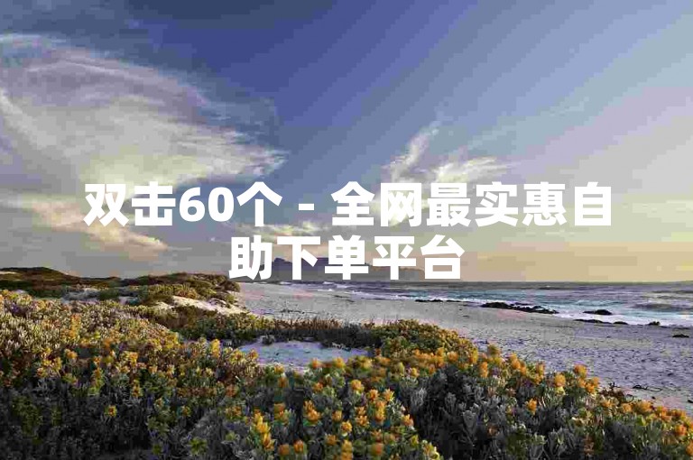 双击60个 - 全网最实惠自助下单平台