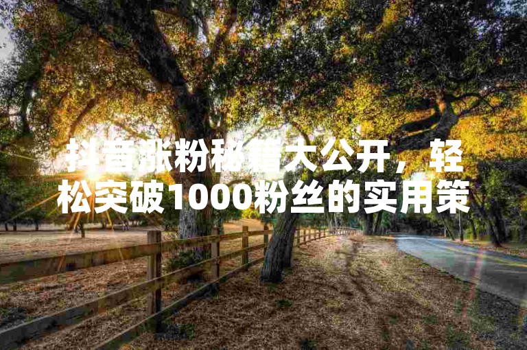 抖音涨粉秘籍大公开，轻松突破1000粉丝的实用策略！2025年必备技巧