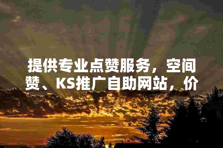 提供专业点赞服务，空间赞、KS推广自助网站，价格全网最低。