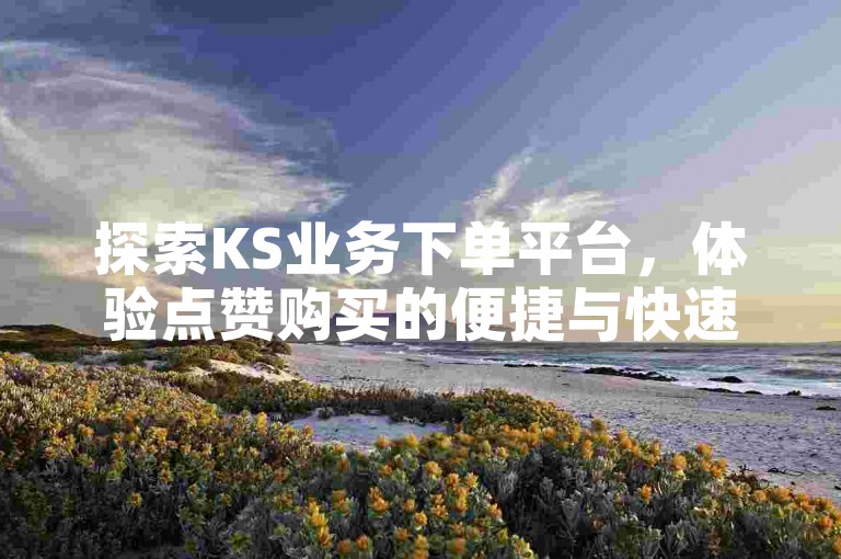 探索KS业务下单平台，体验点赞购买的便捷与快速到账服务。