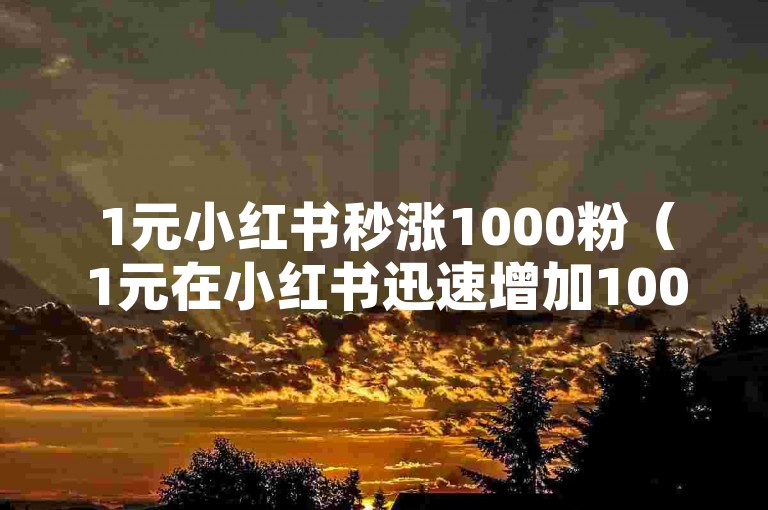 1元小红书秒涨1000粉（1元在小红书迅速增加1000名粉丝）