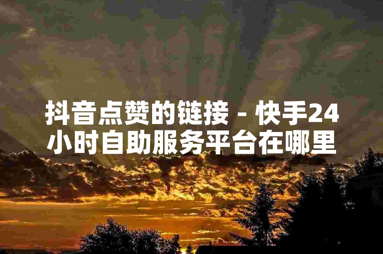 抖音点赞的链接 - 快手24小时自助服务平台在哪里