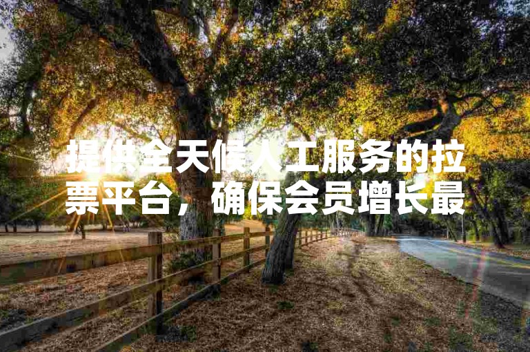提供全天候人工服务的拉票平台，确保会员增长最稳定的卡盟。