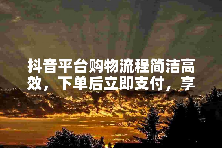 抖音平台购物流程简洁高效，下单后立即支付，享受快速到账服务，开启轻松愉快的购物新篇章。