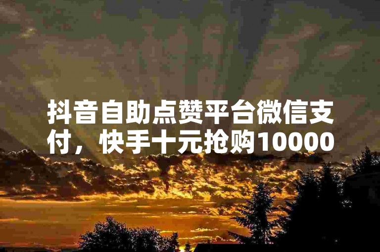抖音自助点赞平台微信支付，快手十元抢购10000粉丝 - KS粉丝量自助 - 全天候微博业务优惠多多也惊喜！