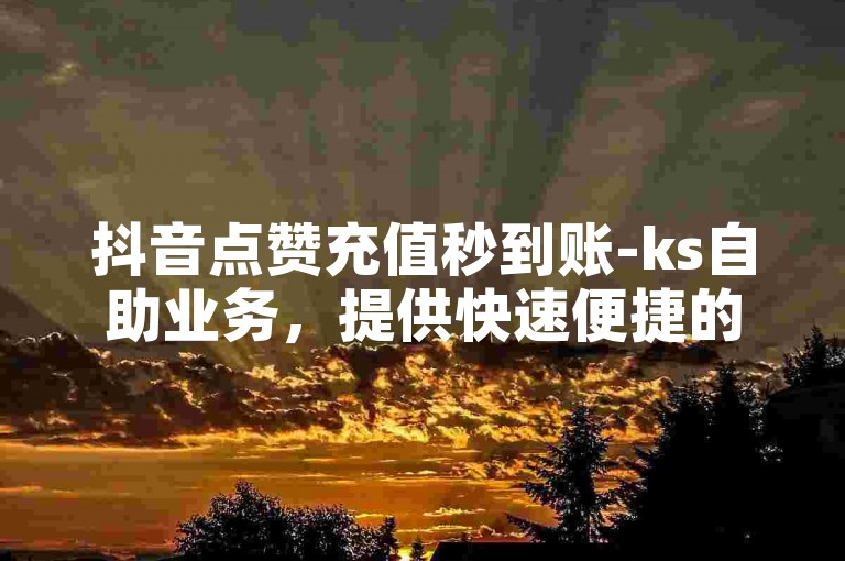 抖音点赞充值秒到账-ks自助业务，提供快速便捷的服务体验。
