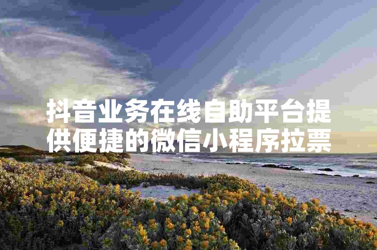 抖音业务在线自助平台提供便捷的微信小程序拉票服务。
