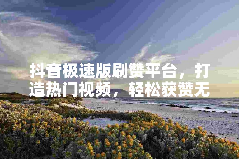 抖音极速版刷赞平台，打造热门视频，轻松获赞无数。