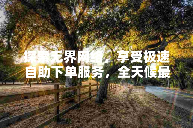 探索无界网络，享受极速自助下单服务，全天候最低价保障，尽在快手互动新体验。