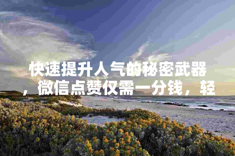 快速提升人气的秘密武器，微信点赞仅需一分钱，轻松获得成千上万赞 - 全天候自助服务网站 - 短视频平台24小时自助下单系统。