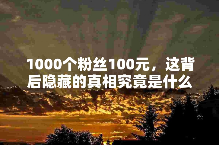 1000个粉丝100元，这背后隐藏的真相究竟是什么？2025年你必须了解的独家揭秘！
