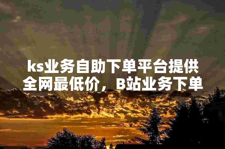 ks业务自助下单平台提供全网最低价，B站业务下单平台。