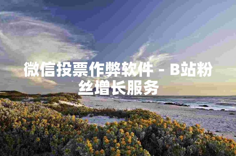 微信投票作弊软件 - B站粉丝增长服务
