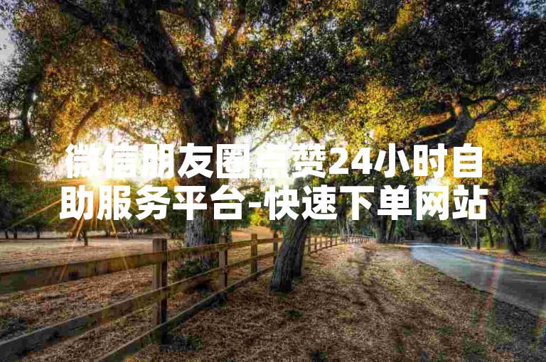 微信朋友圈点赞24小时自助服务平台-快速下单网站。