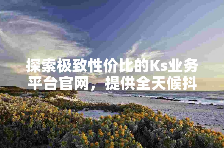 探索极致性价比的Ks业务平台官网，提供全天候抖音评论服务与QQ空间点赞充值，确保全网最低价。