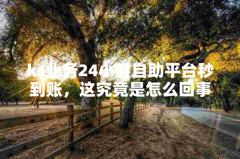 ks业务24小时自助平台秒到账，这究竟是怎么回事呢？