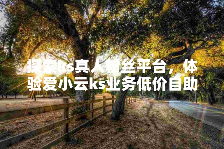 探索ks真人粉丝平台，体验爱小云ks业务低价自助下单的便捷服务。