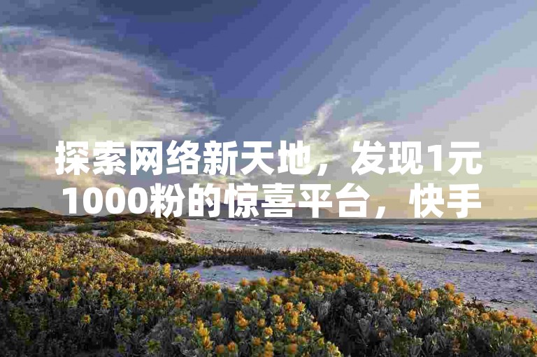 探索网络新天地，发现1元1000粉的惊喜平台，快手号购买新选择，点赞服务更优惠。