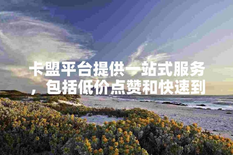 卡盟平台提供一站式服务，包括低价点赞和快速到账的优惠活动。