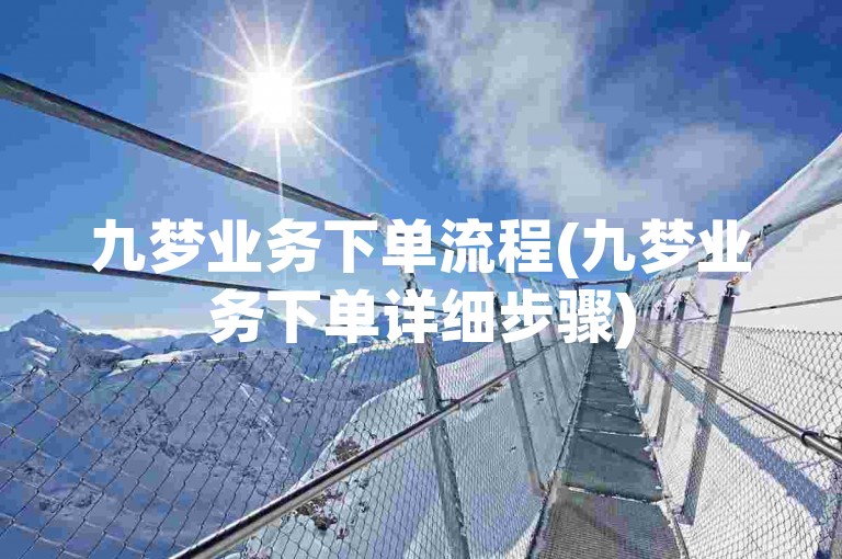 九梦业务下单流程(九梦业务下单详细步骤)