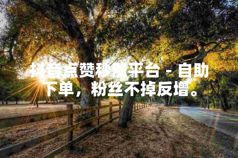 抖音点赞秒涨平台 - 自助下单，粉丝不掉反增。