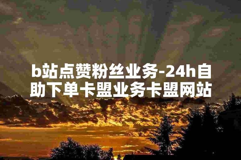 b站点赞粉丝业务-24h自助下单卡盟业务卡盟网站,卡盟平台官网自助下单