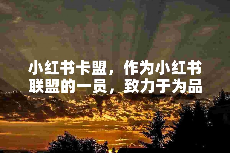 小红书卡盟，作为小红书联盟的一员，致力于为品牌与创作者搭建高效的合作桥梁。