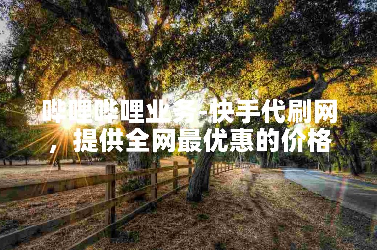 哔哩哔哩业务-快手代刷网，提供全网最优惠的价格。
