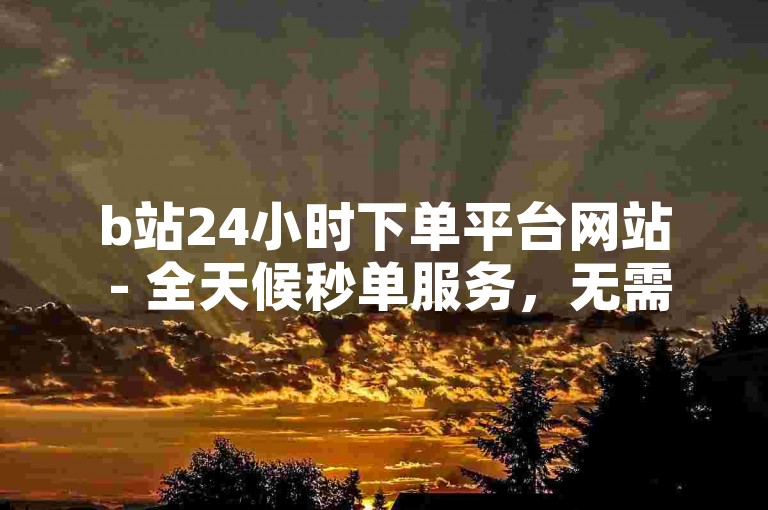 b站24小时下单平台网站 - 全天候秒单服务，无需付费。