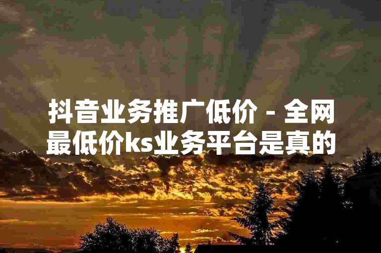 抖音业务推广低价 - 全网最低价ks业务平台是真的吗,dy刷网24小时自助下单