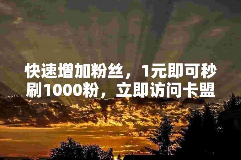 快速增加粉丝，1元即可秒刷1000粉，立即访问卡盟自助下单平台。