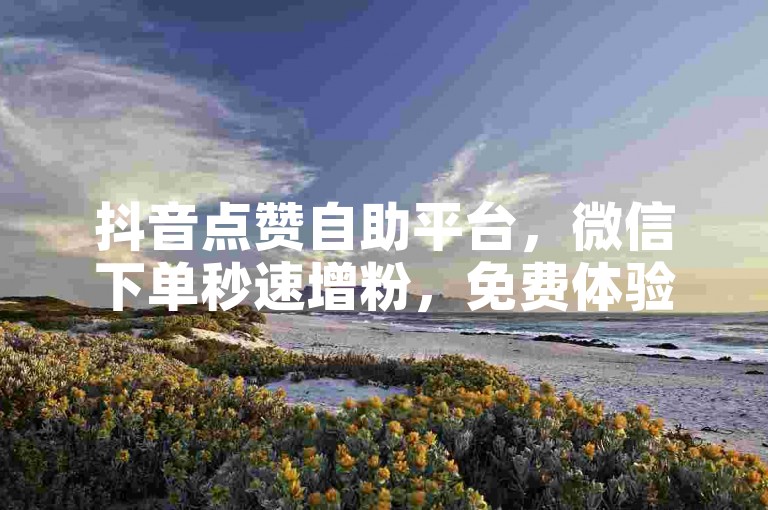 抖音点赞自助平台，微信下单秒速增粉，免费体验粉丝暴涨的乐趣。