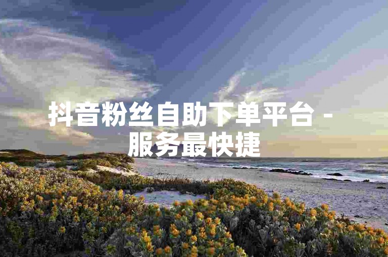 抖音粉丝自助下单平台 - 服务最快捷