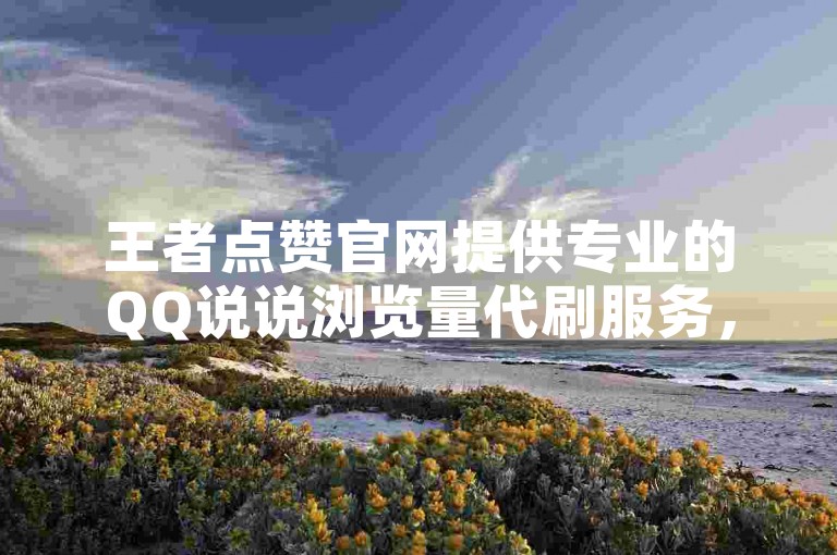 王者点赞官网提供专业的QQ说说浏览量代刷服务，助力你的社交热度飙升。