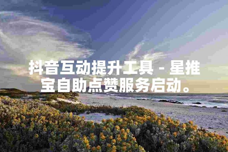 抖音互动提升工具 - 星推宝自助点赞服务启动。