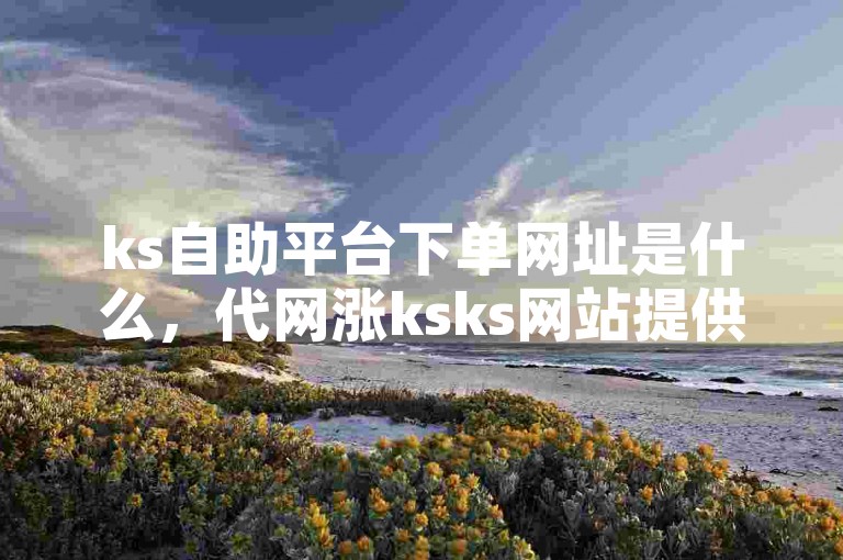 ks自助平台下单网址是什么，代网涨ksks网站提供便捷的服务。